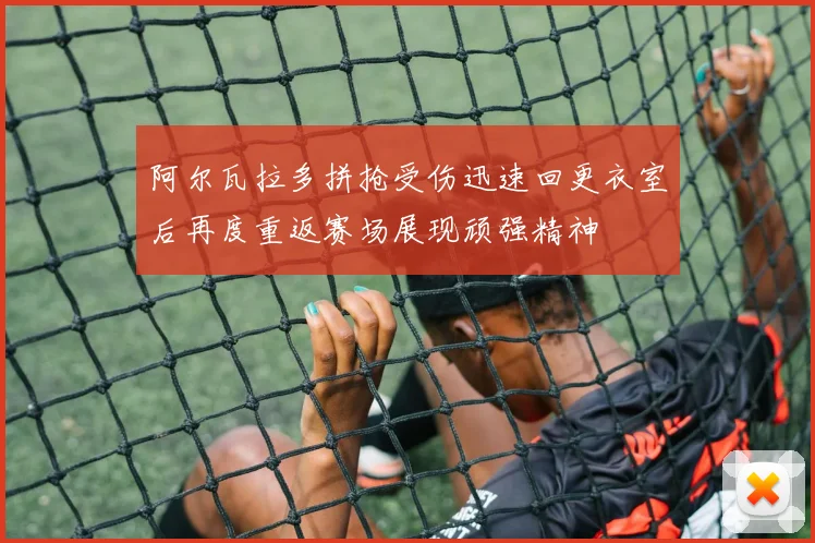 阿尔瓦拉多拼抢受伤迅速回更衣室后再度重返赛场展现顽强精神