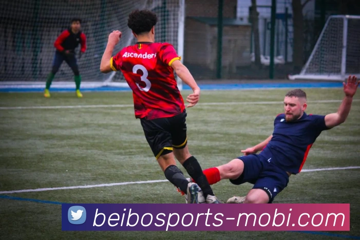 贝博体育平台生态图