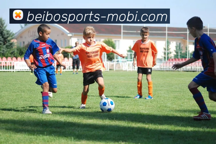 贝博体育全站App